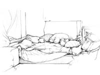draw17