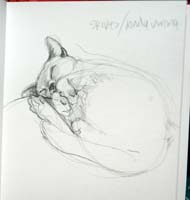 sketch4