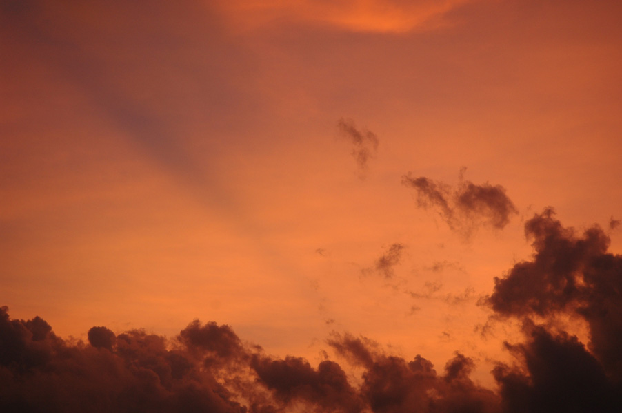 DSC_0172a
